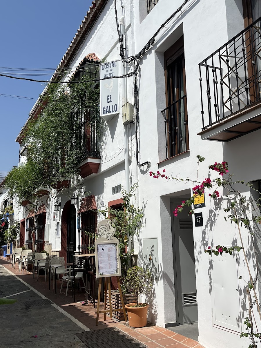 Hostal El Gallo-9